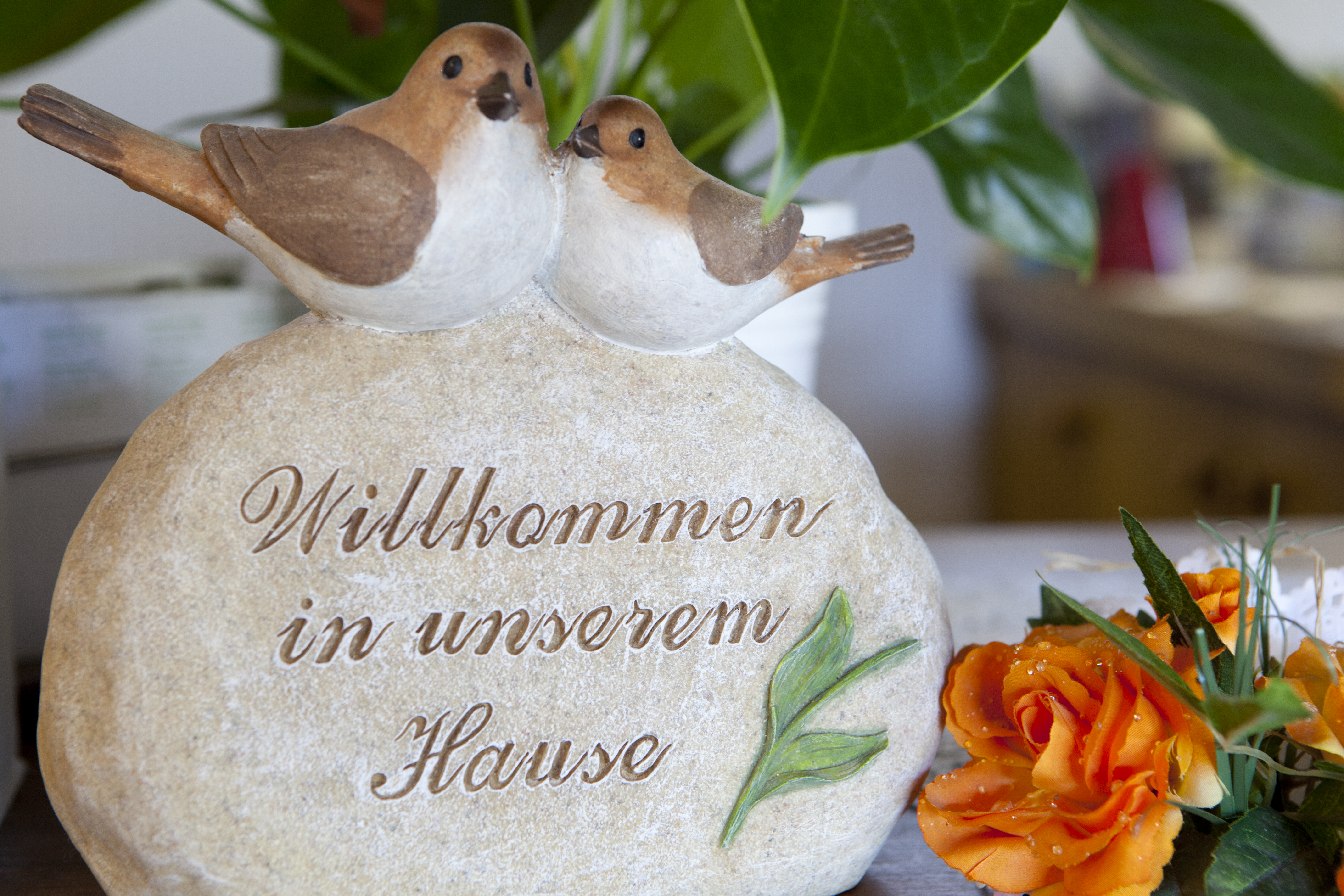 Willkommen